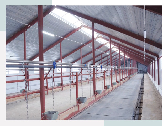 Строительство коровников в Светлограде от 609 руб.