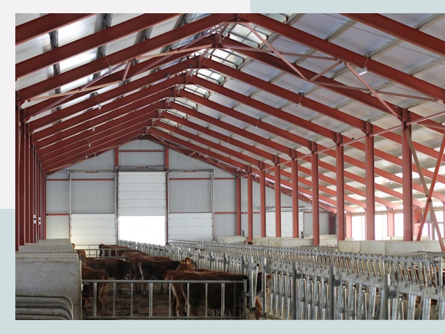 Строительство коровников в Светлограде