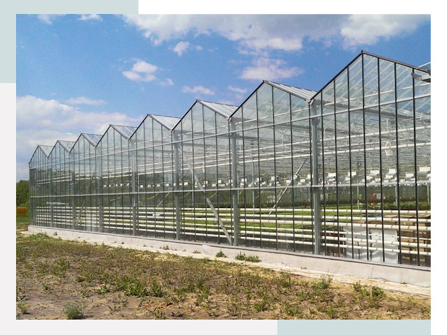 Строительство теплиц в Светлоград от 609 руб. за м²